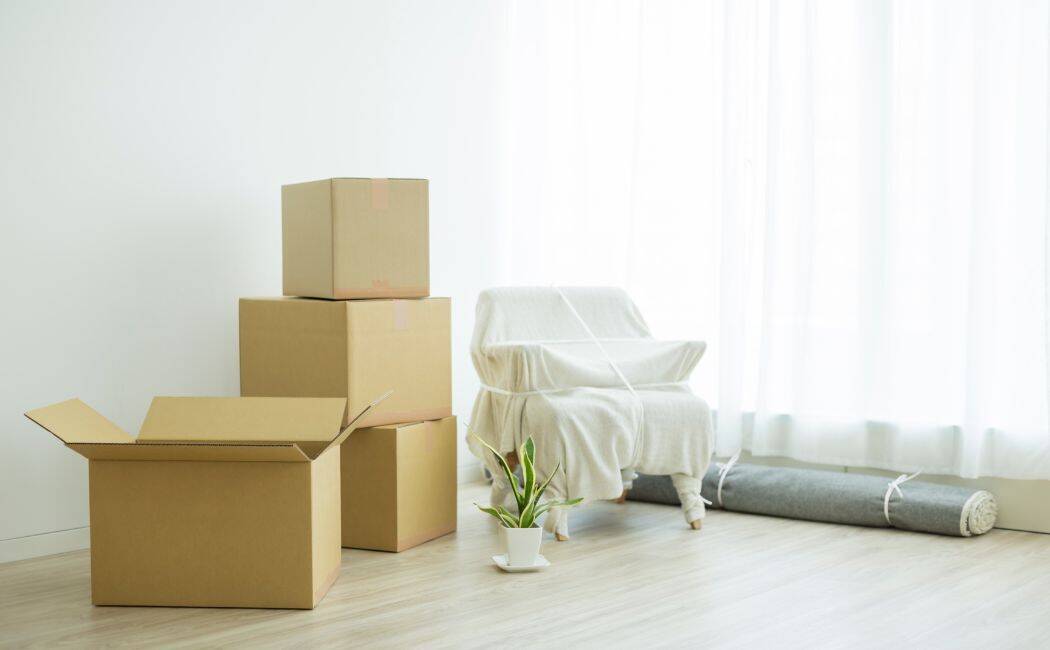 The Different Types of House Clearance Services: Understanding Your Options